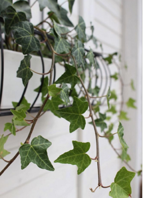 スクリーンショット 2016-10-21 18.10.24