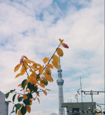 Photo by J子さん@GreenSnap
