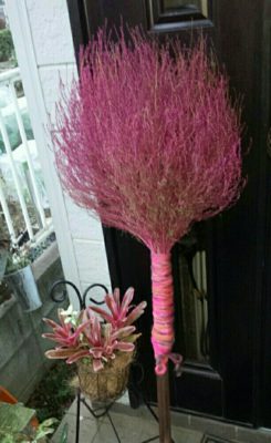 Photo by noriraさん@GreenSnap