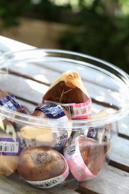 Photo by 花さん@GreenSnap