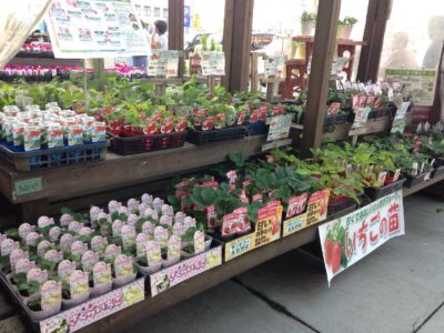 Photo by ハチクロさん@GreenSnap