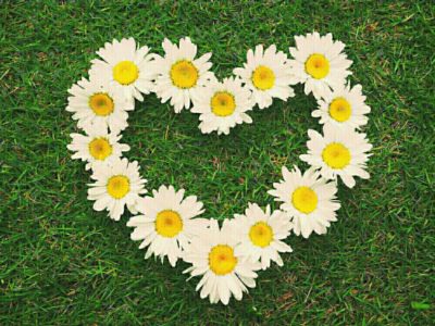 Photo by papiさん@GreenSnap