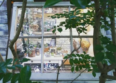 Photo by -mai-さん@GreenSnap