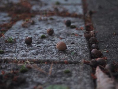 Photo by Je suis…さん@GreenSnap