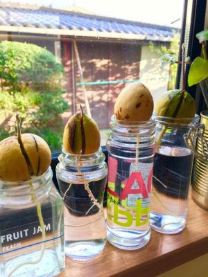 Photo by icccchiiiiさん@GreenSnap