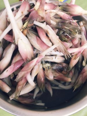 Photo by ぽこちゃんさん@GreenSnap