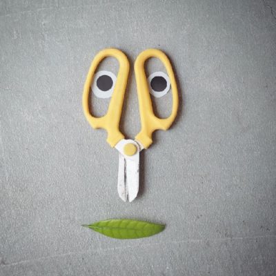 Photo by Blumen Hutteさん@GreenSnap