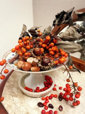 Photo by carmineさん@GreenSnap