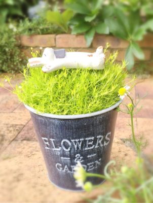 Photo by oguoguさん@GreenSnap