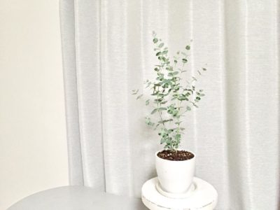 Photo by mayukoさん@GreenSnap