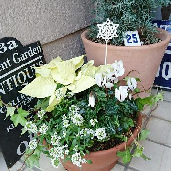 1478397842617_thum_1478397841903_thum_sample