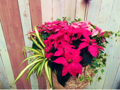 スクリーンショット 2016-11-11 10.38.04