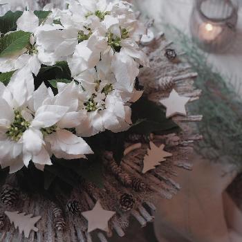 1448242200874_thum_1448242199368_thum_tmp