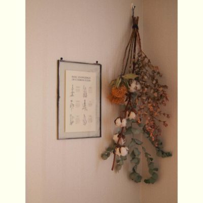 Photo by emimekko's GARDENさん@GreenSnap