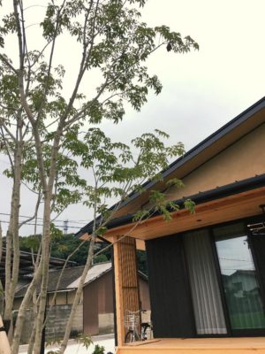 Photo by 知恵さん@GreenSnap