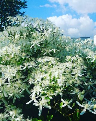 出典元：Instagram