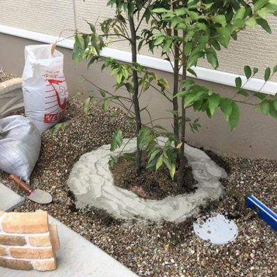 出典元：Instagram