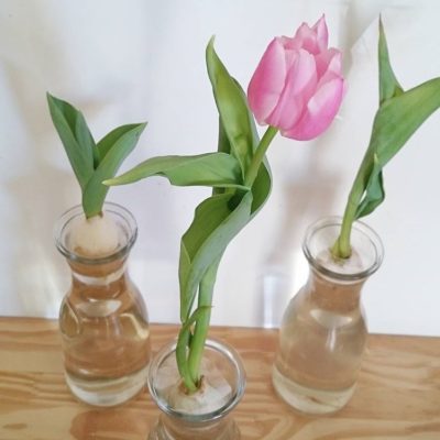 出典元：Instagram