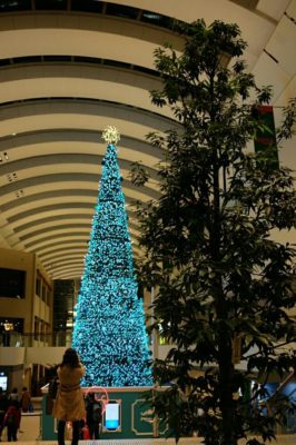 Photo by akoさん@GreenSnap