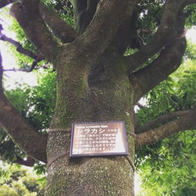 出典元：Instagram 