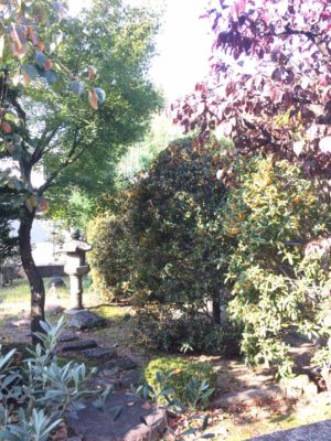 Photo by デリシのオサさん@GreenSnap