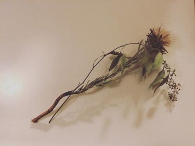 出典元：Instagram 