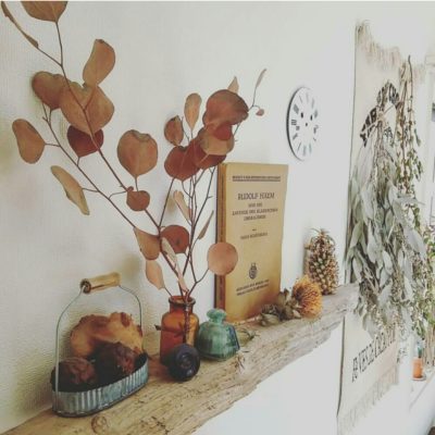 Photo by -mai-さん@GreenSnap