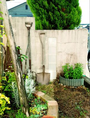 Photo by ゆきさちさん@GreenSnap