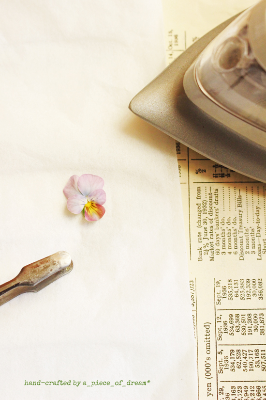 a_piece_of_dream20170128-４