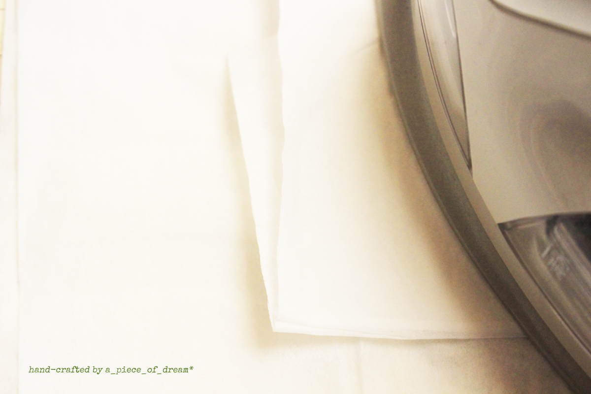 a_piece_of_dream20170128-５