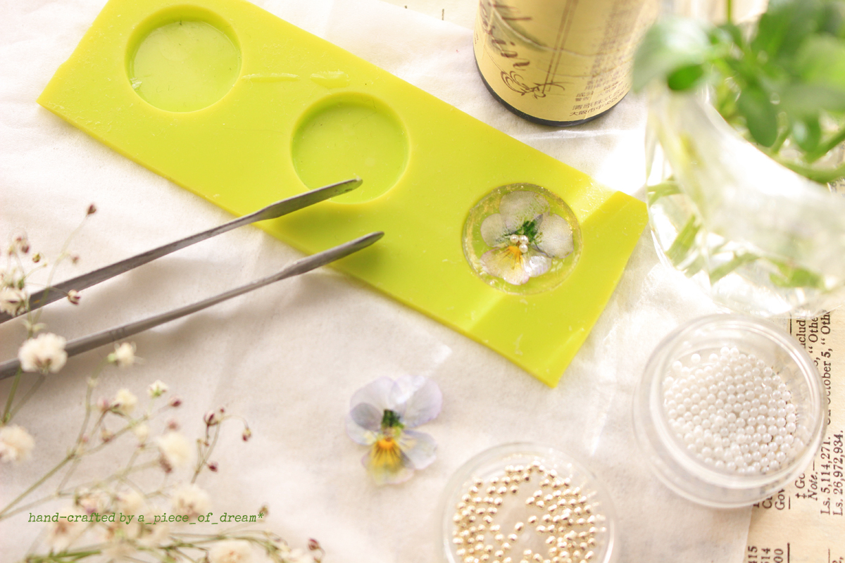 a_piece_of_dream20170128-８