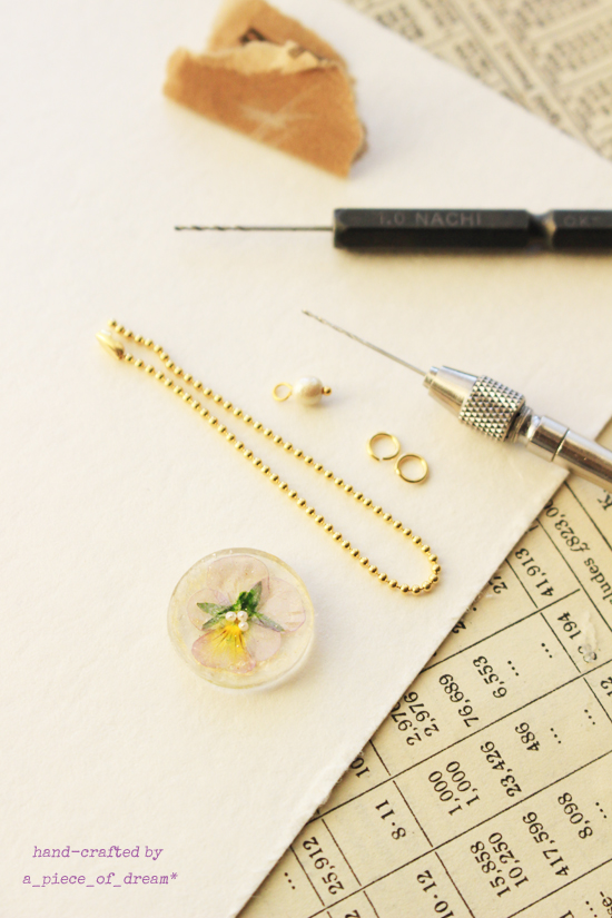 a_piece_of_dream20170128-１０