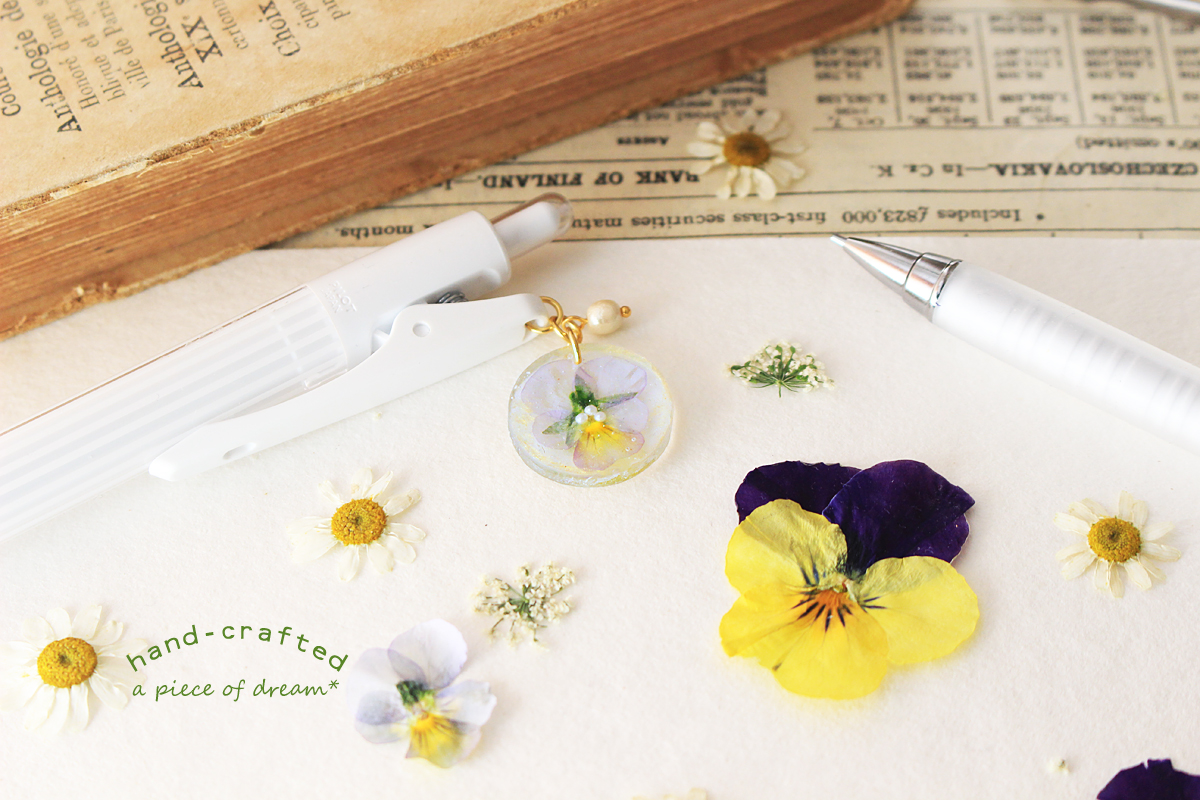 a_piece_of_dream20170128-11