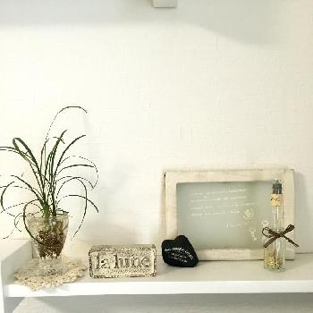 Photo by sugerさん