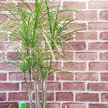 Photo by nao___62さん