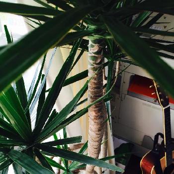 Photo by じょにーさん