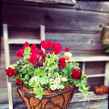 Photo by 由良さん