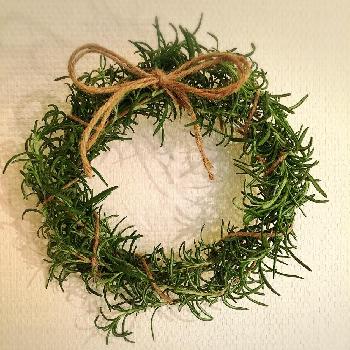 Photo by ましりゅさん