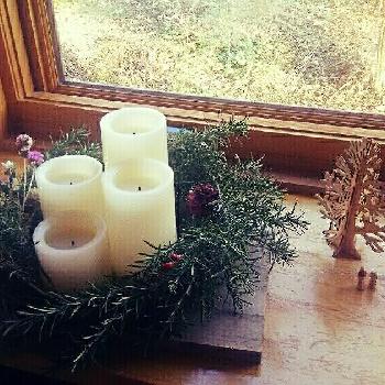 Photo by コユリさん