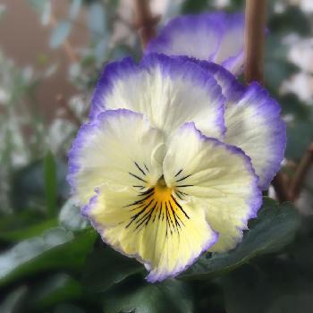 Photo by あいりさん