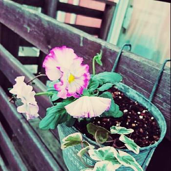 Photo by *moco*さん