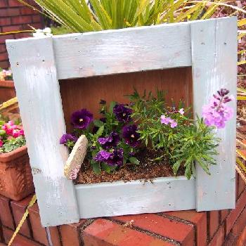 Photo by ミス クレオさん