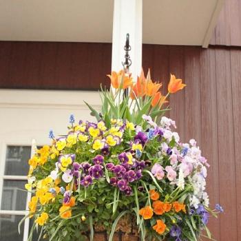 Photo by takako *さん