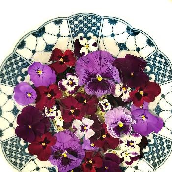 Photo by ぽんさん