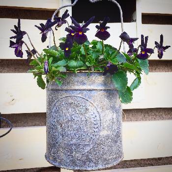 Photo by eitotakutoさん