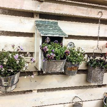 Photo by eitotakutoさん