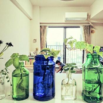 Photo by りおかおりさん