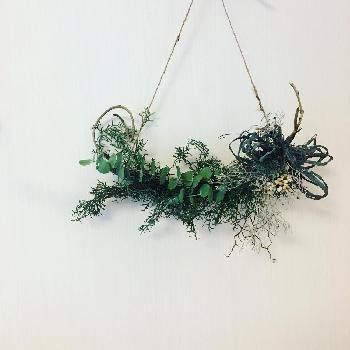 Photo by M'S JUNKさん