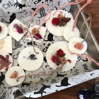 ラベンダーを使ったDIY商品をご紹介！｜🍀GreenSnap（グリーンスナップ）