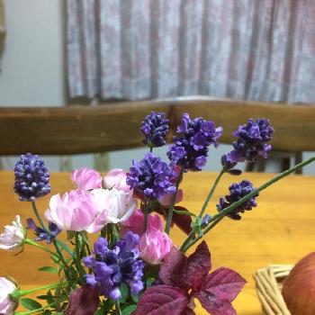 Photo by まゆまゆさん